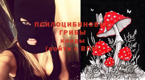ECSTASY Абаза