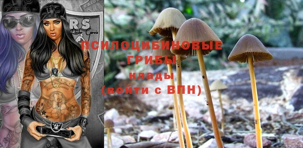дживик Алексин