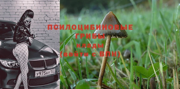 кокс Абинск