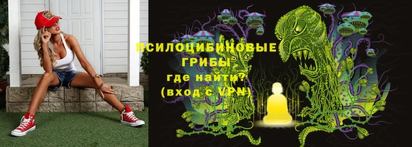 ECSTASY Абаза