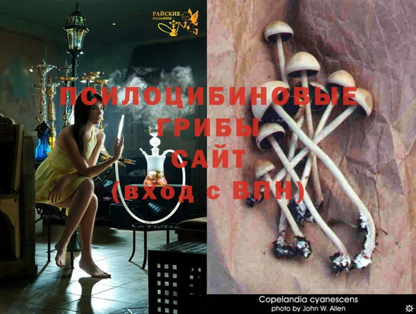 кокс Абинск