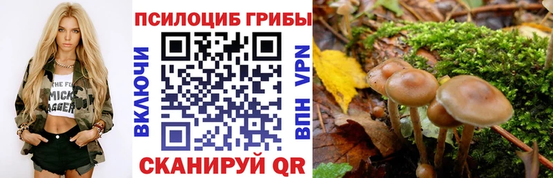 блэк спрут как зайти  Усть-Катав  Галлюциногенные грибы Cubensis 